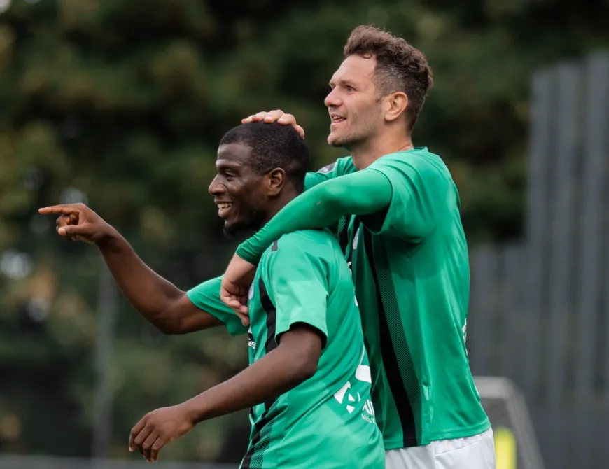 Schwalben gewinnen erstes Heimspiel!