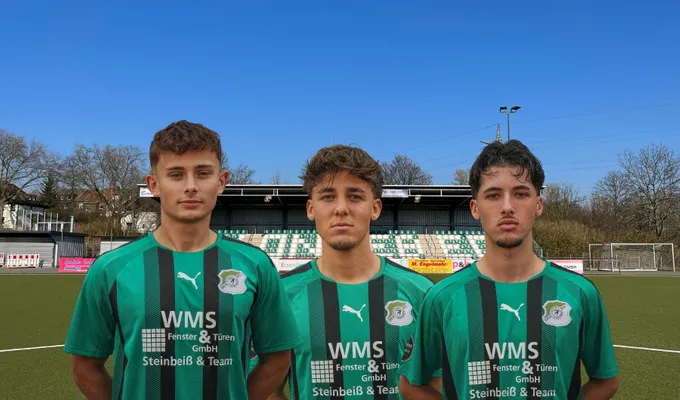 Kloth, Schmidt und Jung bleiben Schwalben