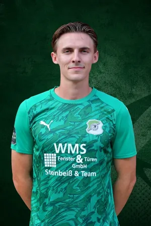 Henrik Scheibe