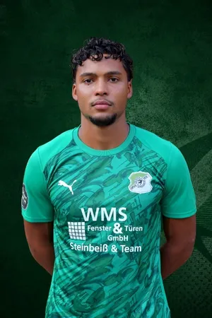 Yan Friessner Montas