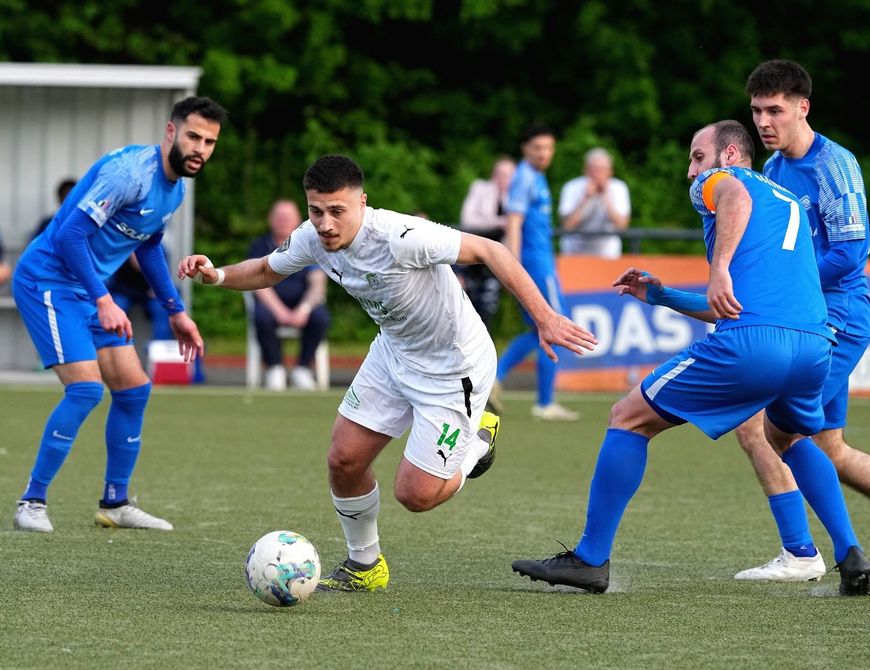 Schwalben in Biemenhorst gefordert